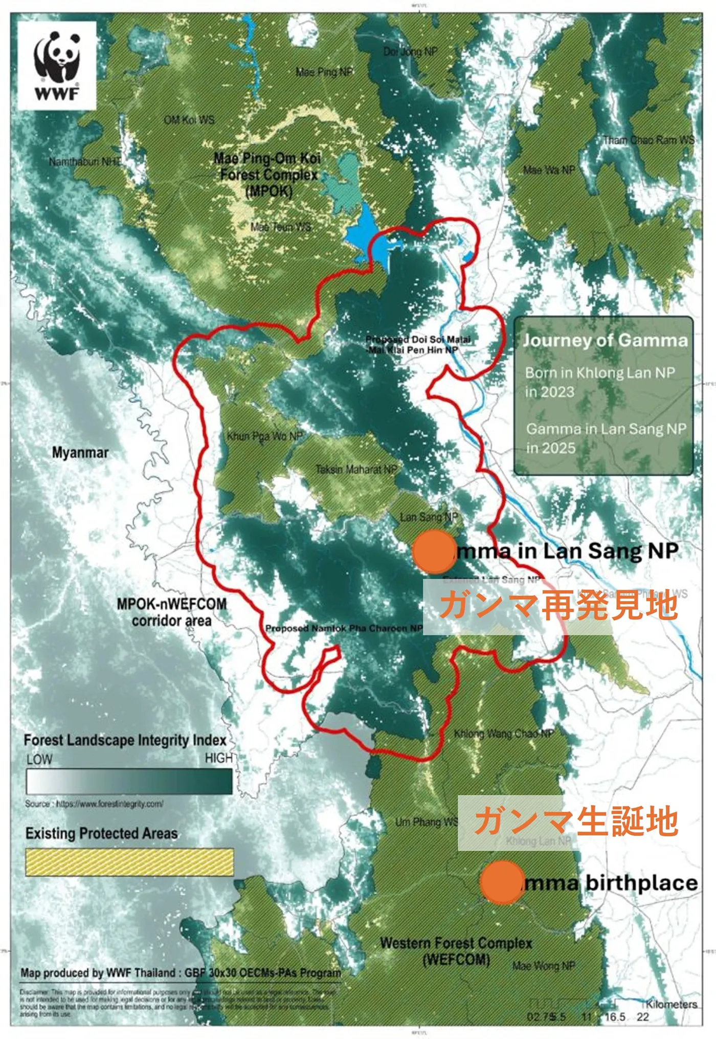 ガンマの生まれた場所と最近確認された場所