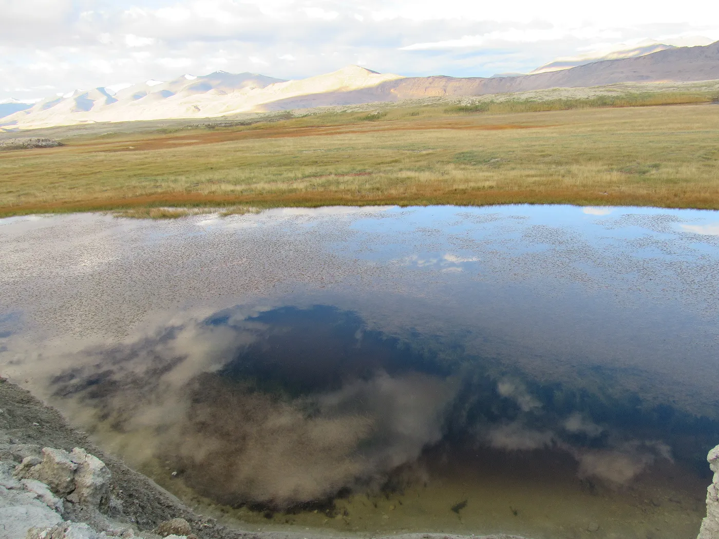 チャンタンにある湖のひとつツォ・カー(ソカーとも)。多くの水鳥がいて、周囲の草地には、キアン(チベットノロバ)、ノウサギ、ナキウサギなども生息しています。