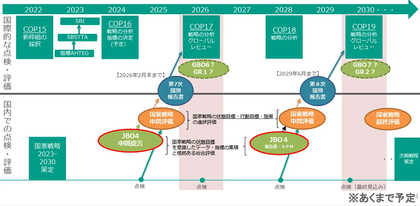 日本では、COP15でのGBF採択から2030年までの間、このように国内施策の点検を予定しています(環境省、2025年1月27日「JBO中間提言の構成案とスケジュール」より)
