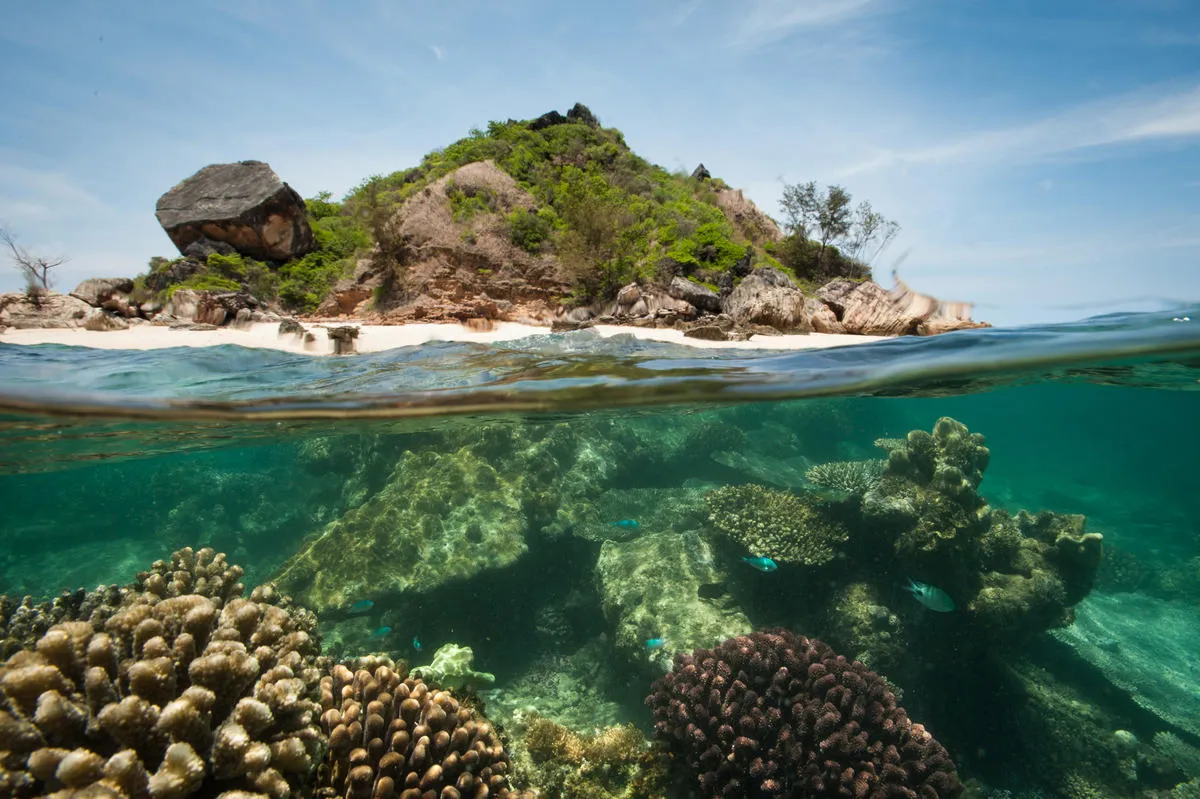ノシ・ハラ海洋公園（マダガスカル）。WWFマダガスカルは、地域コミュニティや漁業者、政府当局と協力し、地域主体で管理される海洋のエリア保全に取り組んでいます。