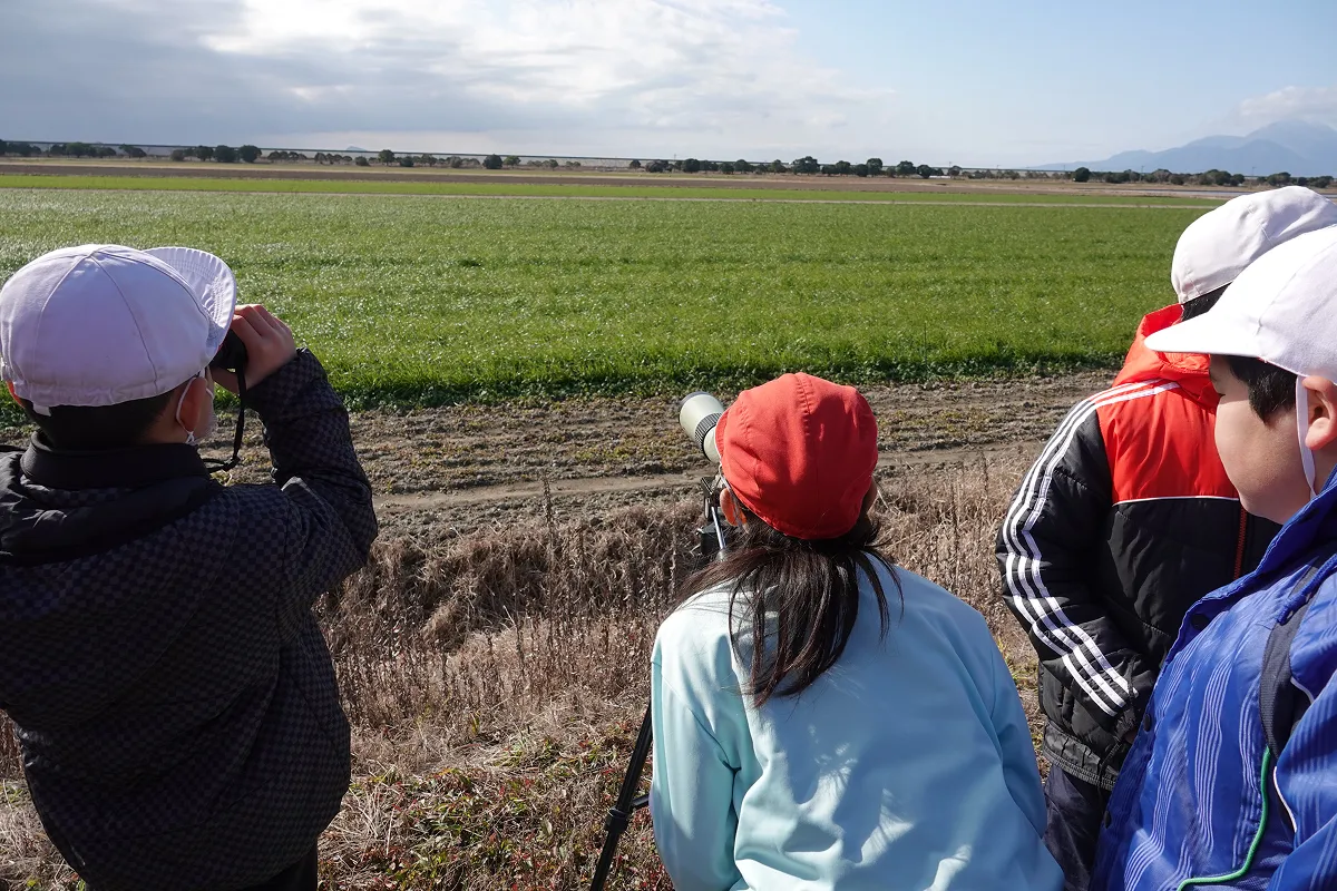 双眼鏡と望遠鏡で、野鳥を観察する児童たち。マナヅルの採食の様子や、ミサゴのホバリングを観察しました。