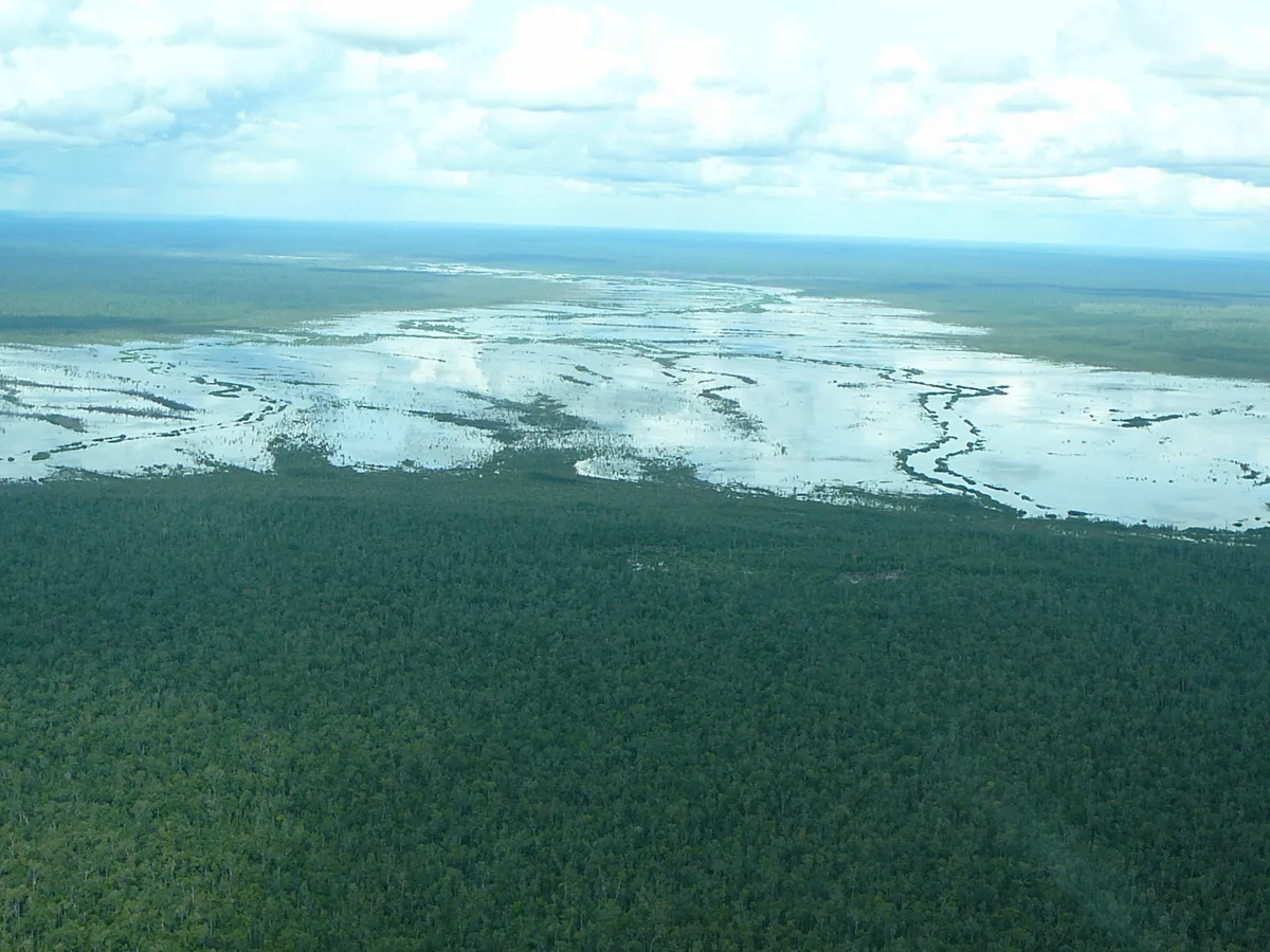 排出削減の実態が確保されていることのほか、生物多様性の保全に貢献していることも、高品質なカーボンクレジットの条件の1つです。