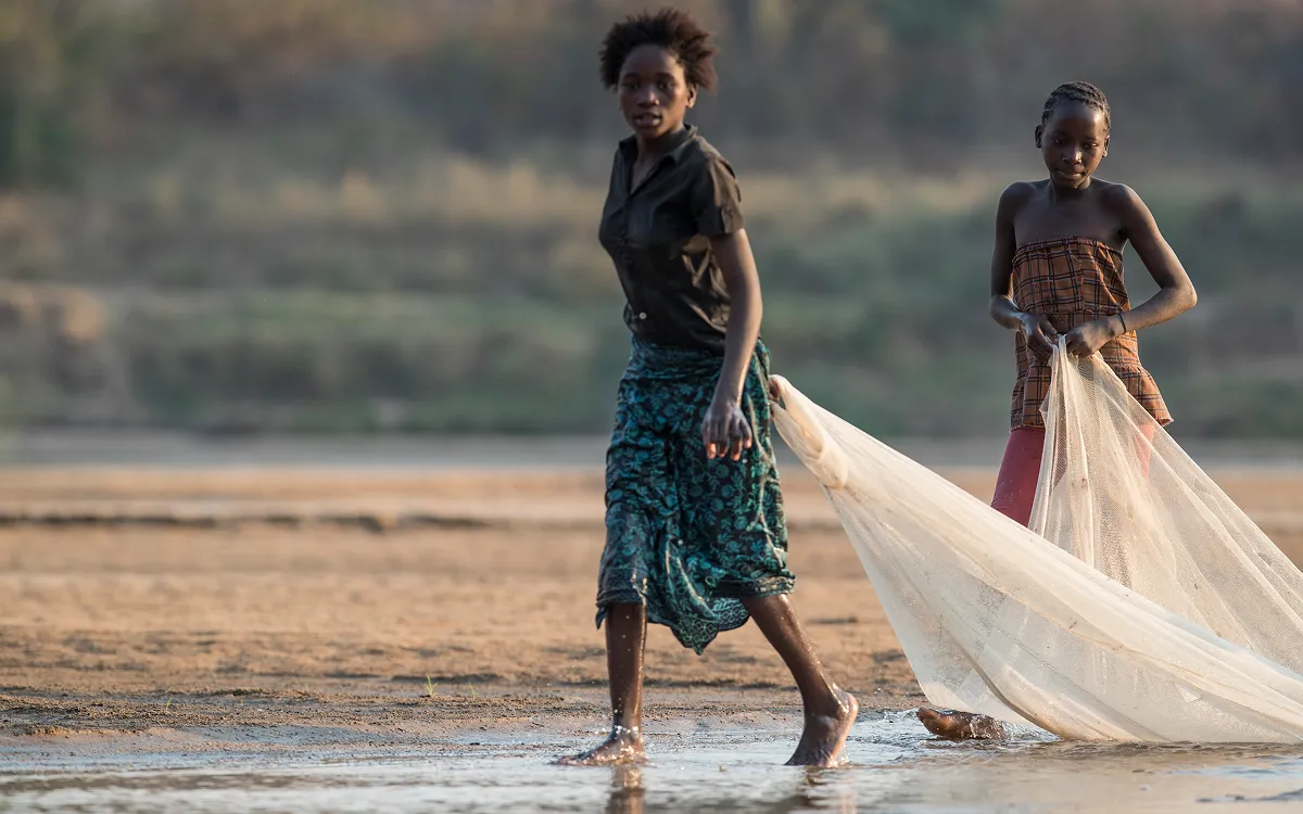 川で網を使って魚を捕る住民。ザンビア、ルアングア川。
