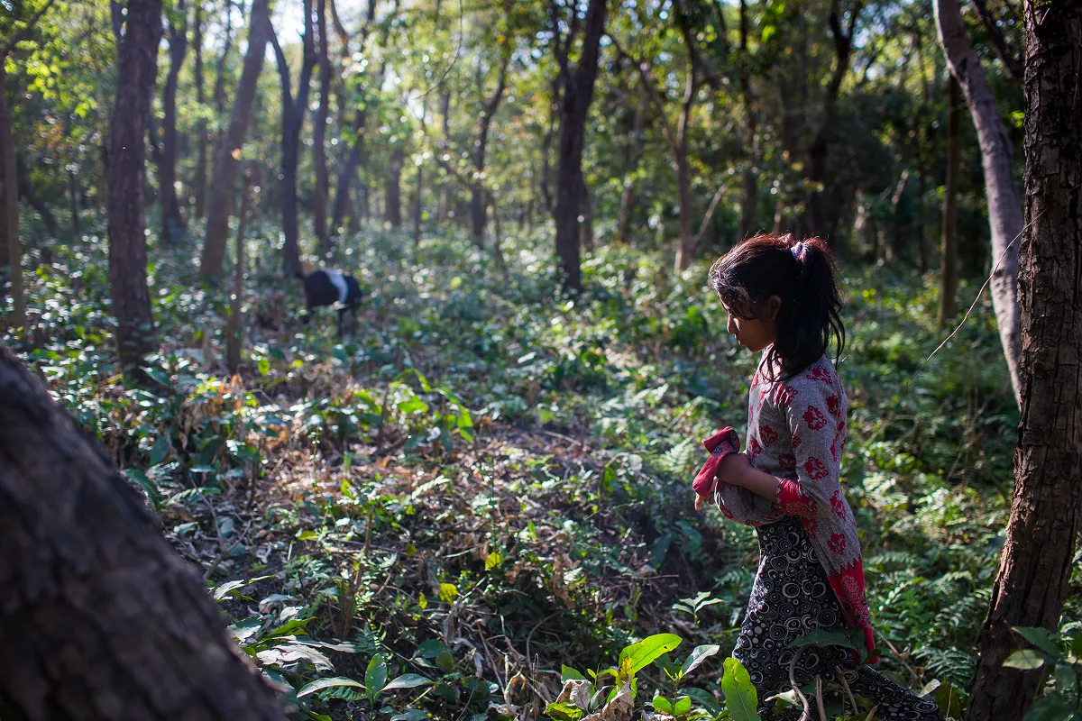 コミュニティフォレストで植物を採集する少女（ネパール）