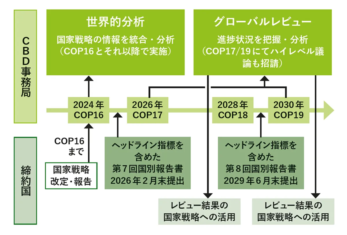  COP17で実施されるグローバルレビューに向けて、日本政府は2月末に、条約事務局に国別報告書を提出します。出典：WWFジャパン「政策ブリーフ」