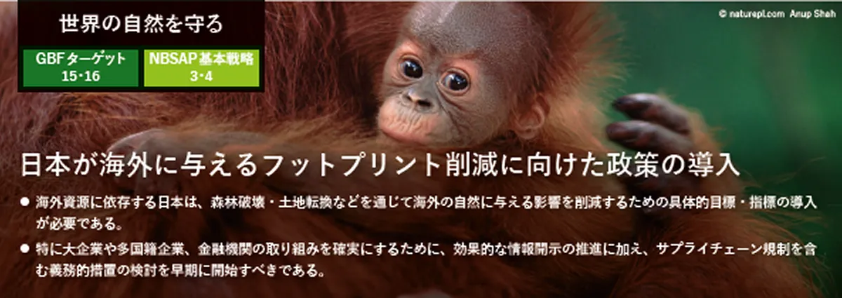 出典：WWFジャパン「政策ブリーフ」