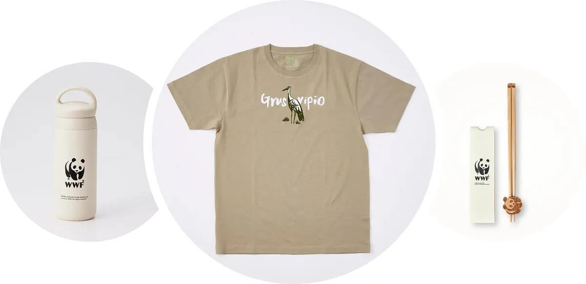 今年はPANDA SHOPのグッズ販売も