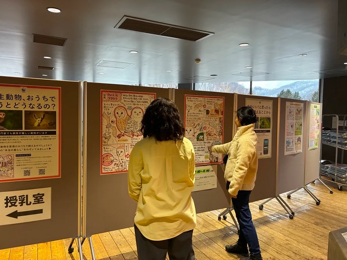 札幌市円山動物園での様子。