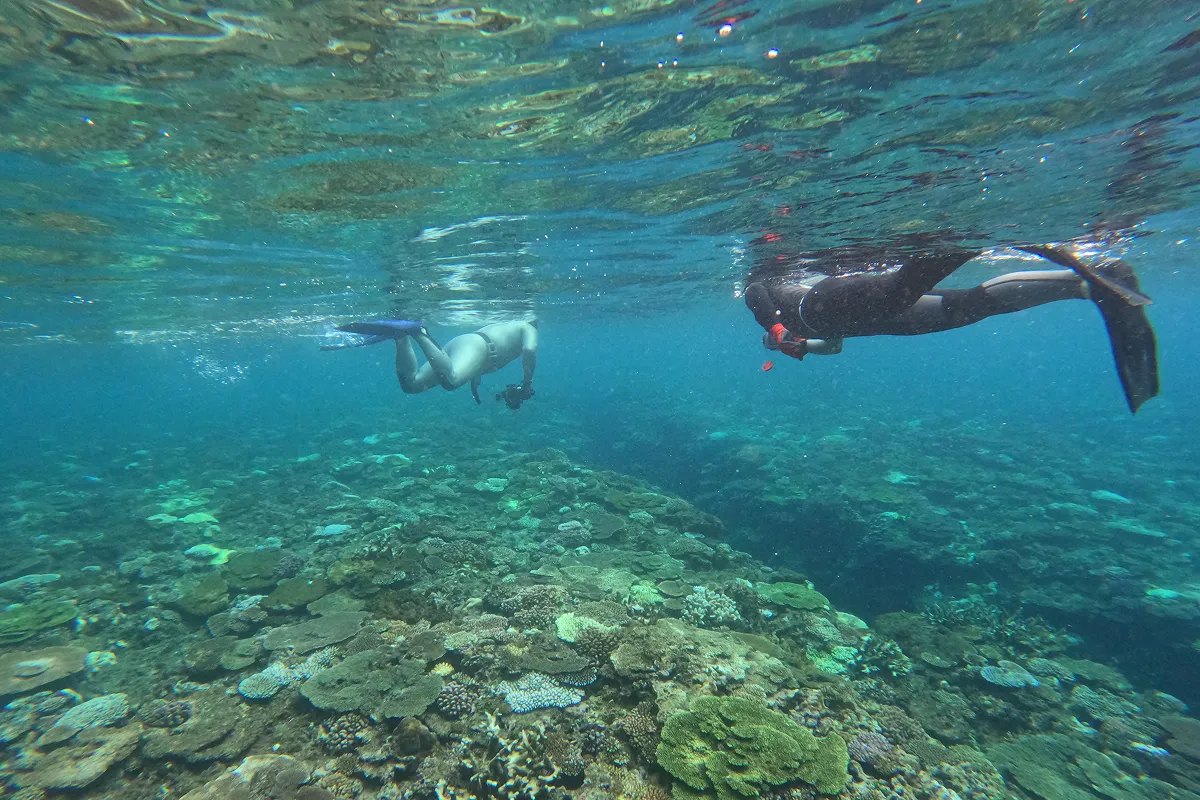 奄美大島の大和村国直での活動