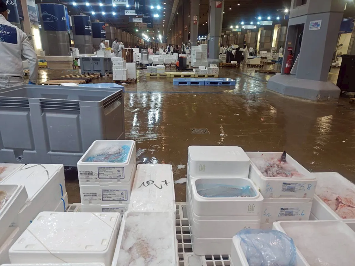 水産市場の様子です。