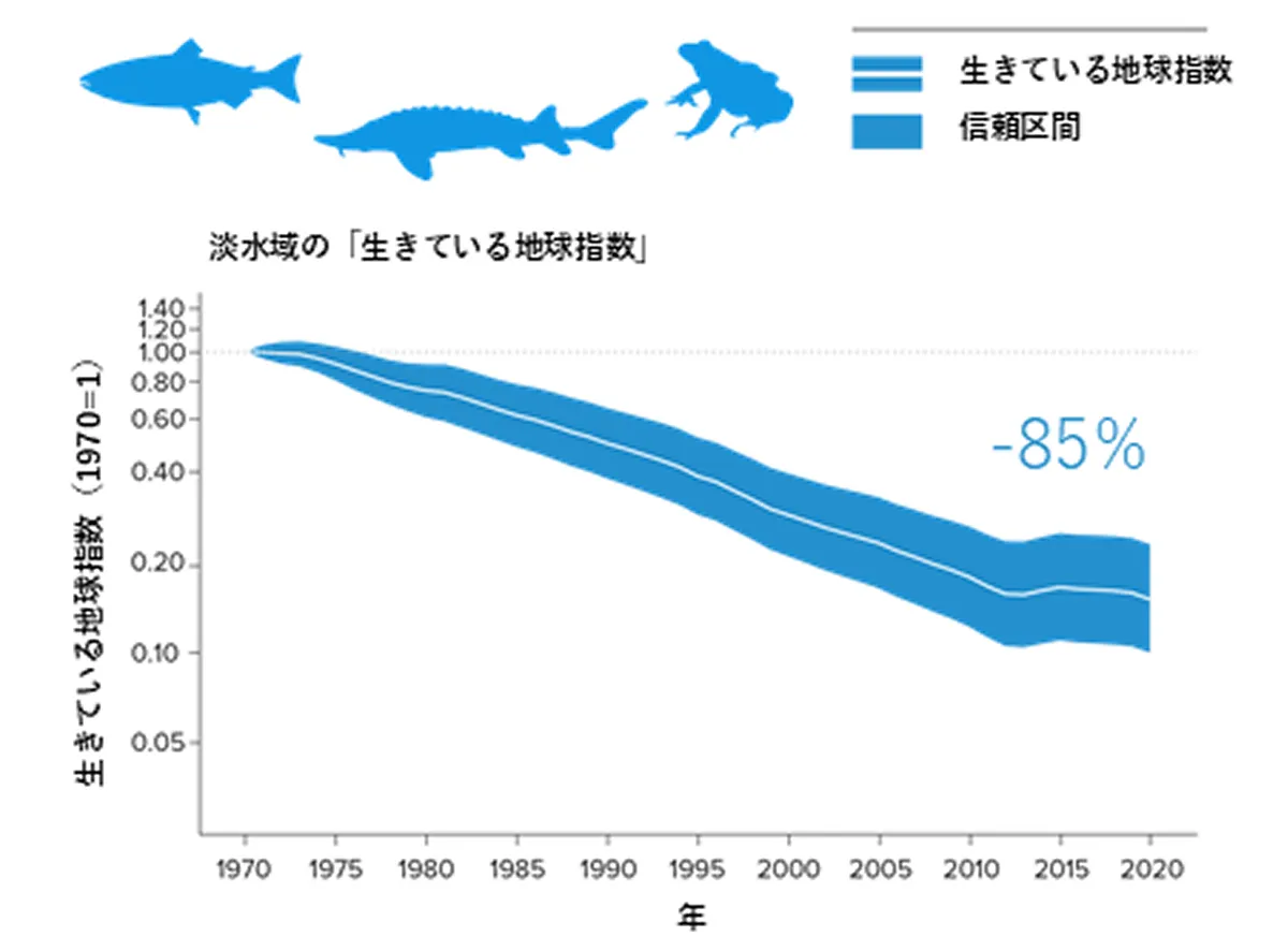 出典:LPI:Living Planet Report 2024 – A System in Peril. WWF, Gland, Switzerland. WWF. (2024) を元にWWFジャパン作成
