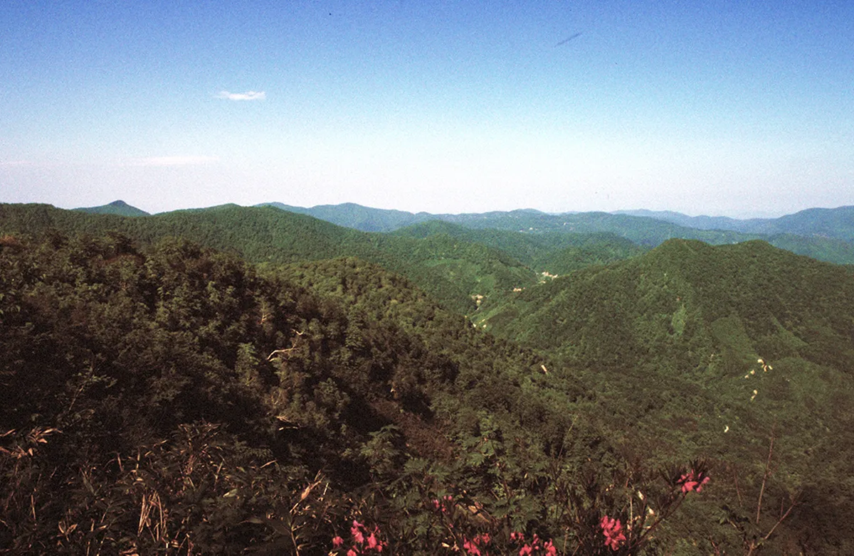 秋田県と青森県にまたがる白神山地。 <br>地域個体群は、遺伝や生息環境の特徴によって区分された動物のまとまり。２つの県にまたがる地域個体群の政策は都道府県の枠を超えた連携が必須となる。 <br>