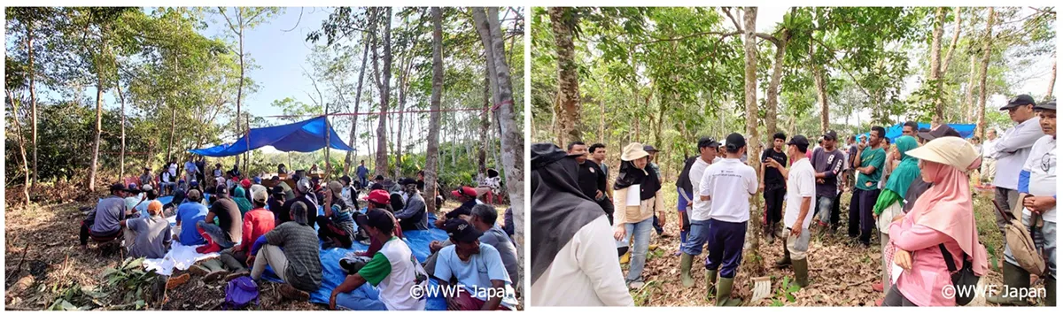活動２年目のトレーニングの様子。１年目に研修を受けた農家が中心となり、他の農家へのトレーニングを行ないました。