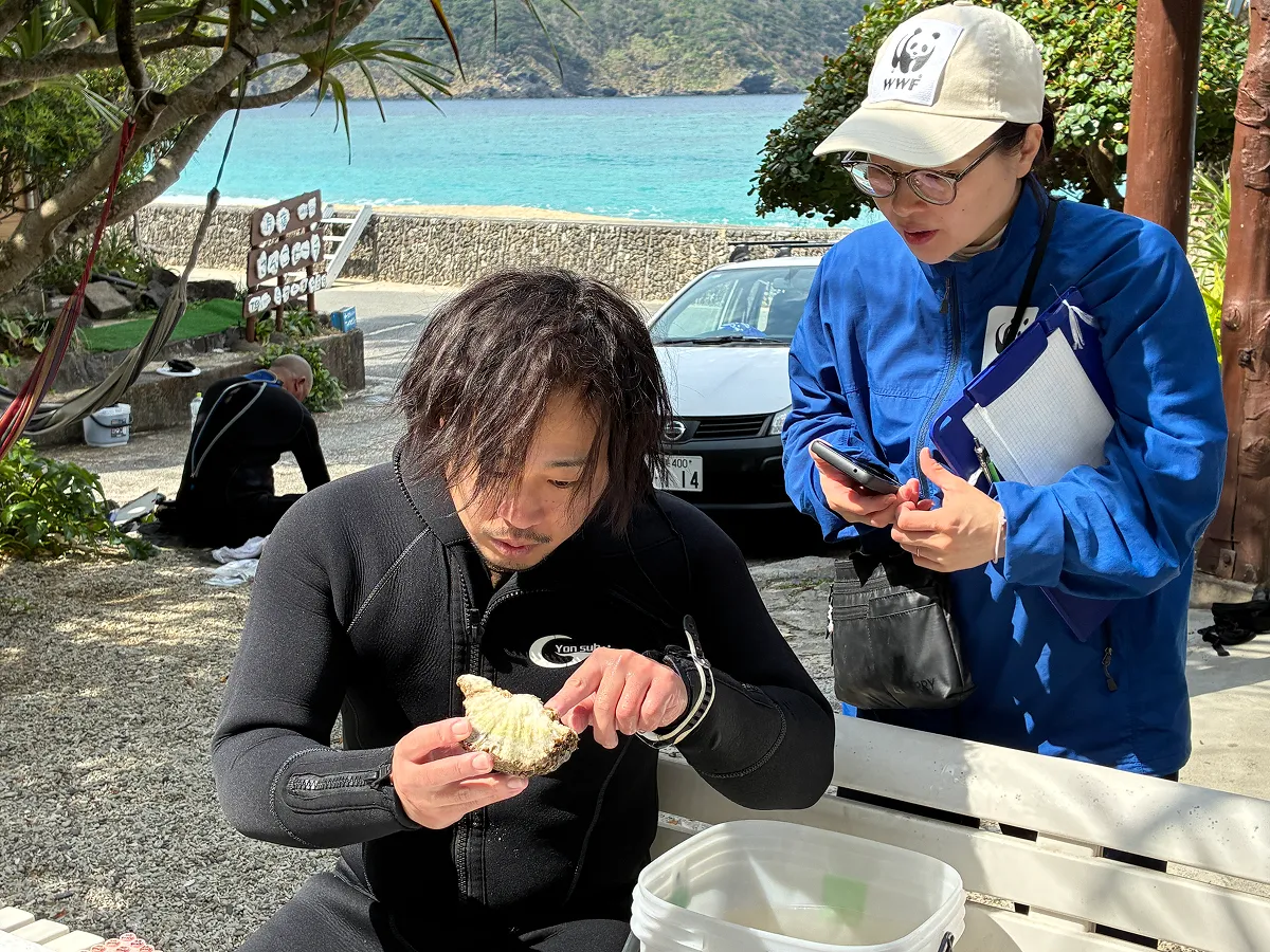 採集したサンゴのサンプルには海を知るヒントが隠されています。