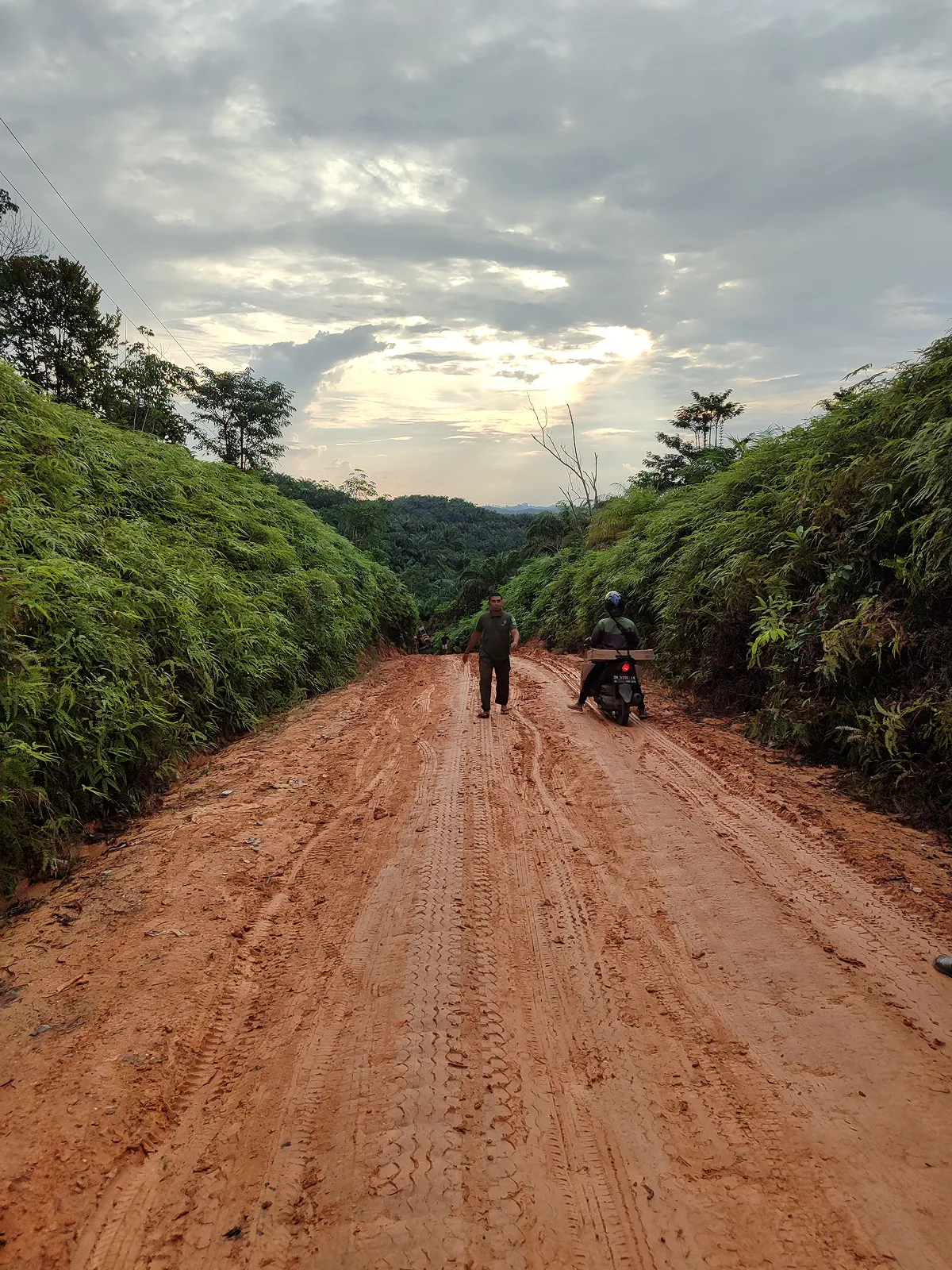 テボ県都〜事業地の村を結ぶ道