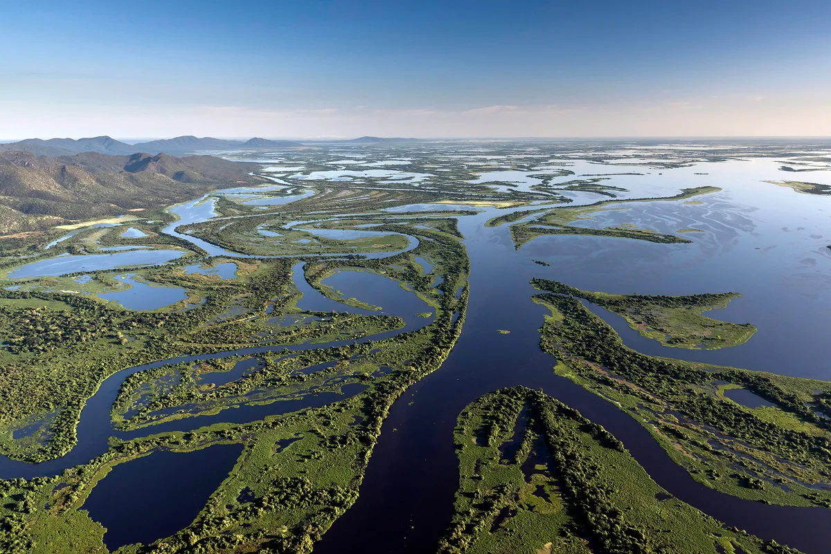 今回の政令により、マトグロッソ州とマトグロッソ・ド・スル州にまたがる「パンタナール・マトグロッセンス国立公園」とマトグロッソ州にある「タイアマン・エコロジカルステーション」2カ所の保護区が拡大。総計およそ10万4,200ヘクタールが保護の対象となりました。(写真は、パンタナール・マトグロッセンス国立公園に広がる湿原)