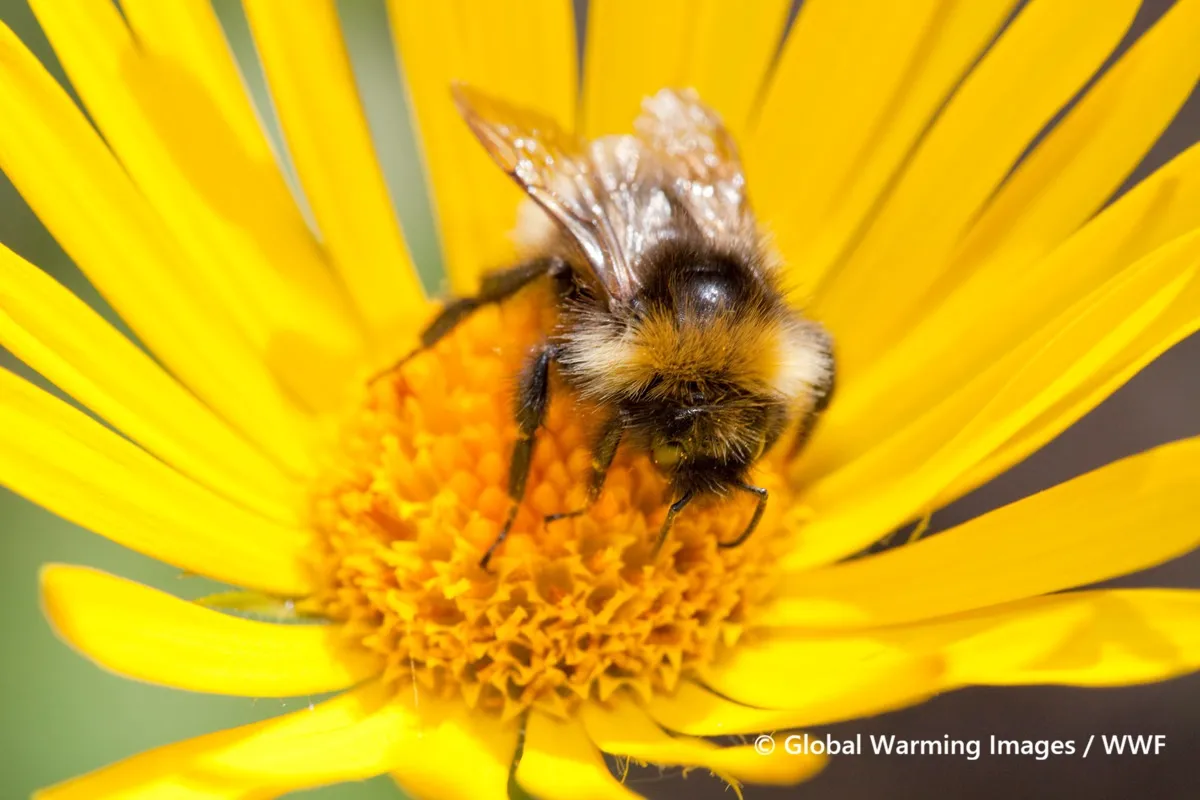 敷地内での在来自然植生の回復はもちろん、昆虫や小動物まで含めた動植生の繋がりに配慮して管理することで、施設内に局所的な生態系を創出する