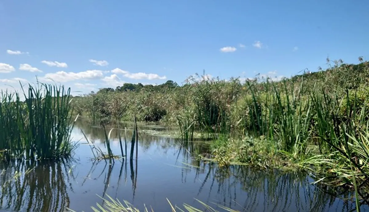 全国的にも珍しい原始の姿を残す美々川