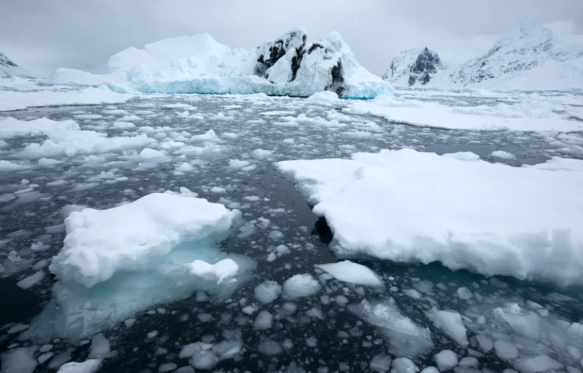 陸地の氷床が割れないまま海に押し出された「棚氷」。気候変動により早期に崩壊するリスクが高まります。