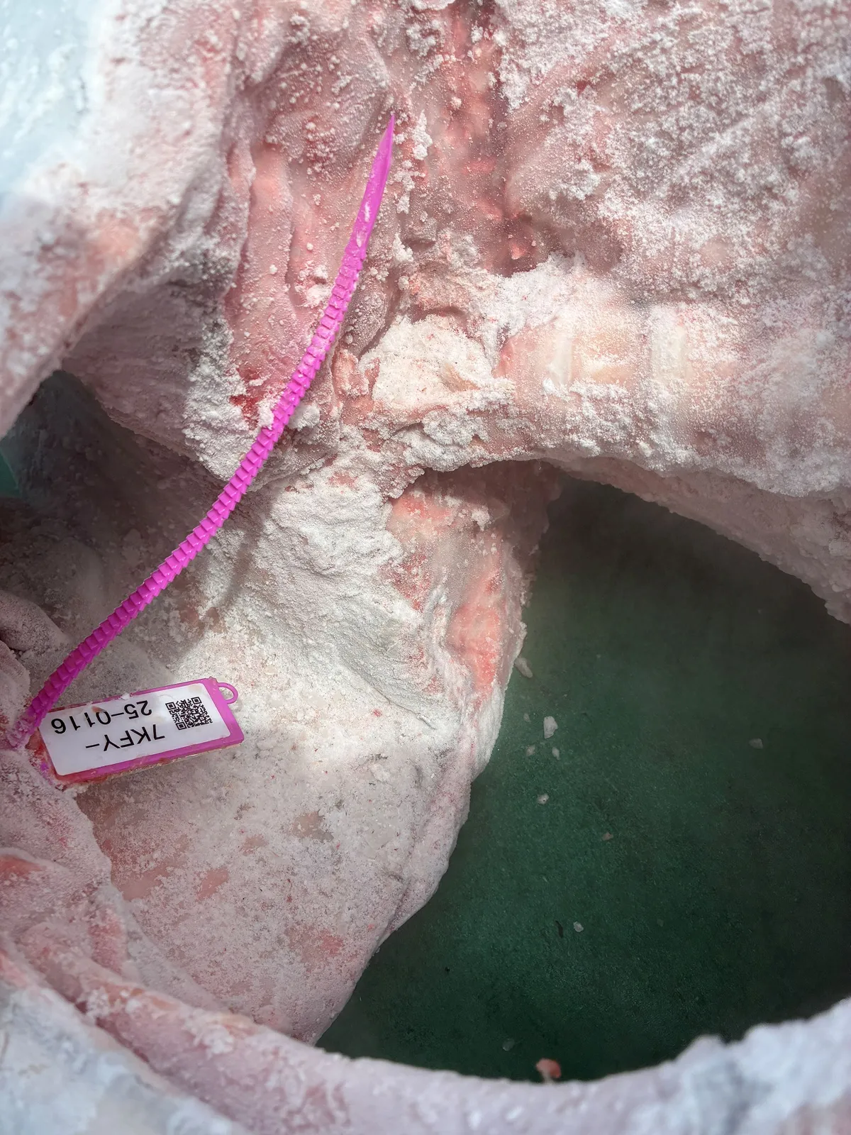 今回、水揚げされた大西洋クロマグロは、計242本！これら、すべてのマグロに、一尾ずつ電子タグが取り付けられており、漁獲された日時と場所を知ることができます。いつ、どこで、誰が、どのように獲ったか、トレースできる（追跡可能）ことは、違法・無報告・無規制（IUU）漁業を撲滅するためにも、とても重要です。