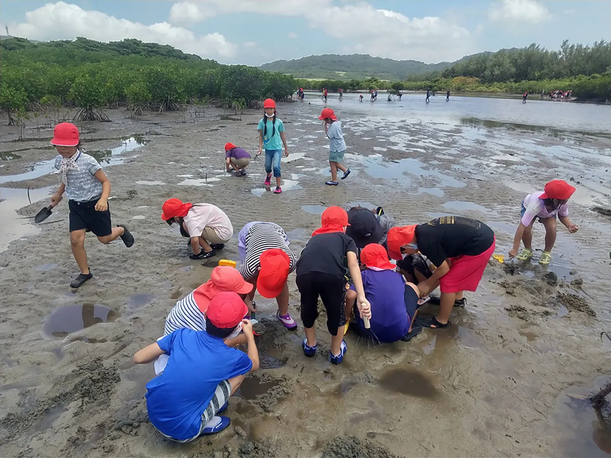 沖縄県石垣島にある日本最南端のラムサール条約湿地「名蔵アンパル」。毎年多くの観光客や地元住民が訪れ、貴重な自然体験学習の場となっている。しかし、上流域（写真奥の山の斜面）における大規模ゴルフリゾート開発計画の影響が懸念されている。