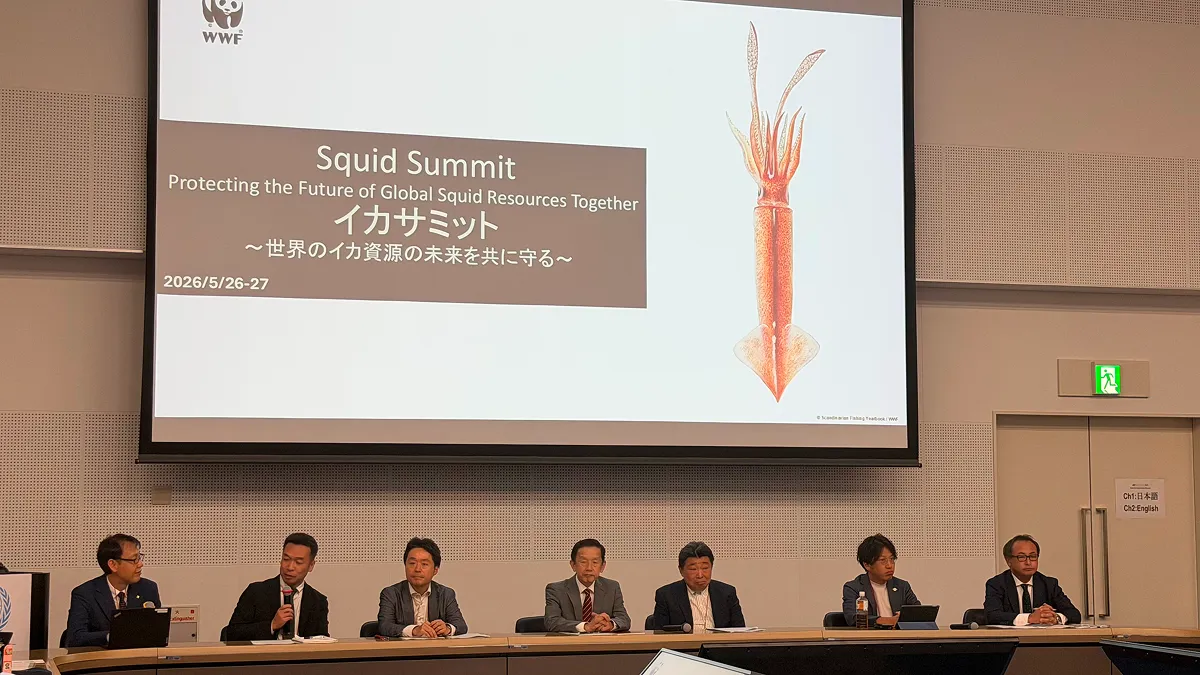 サミット初日の「日本のイカ資源の現状と課題」に関する講演後のパネルディスカッション。左からモデレーターの植松（WWFジャパン）、境磨氏（水産研究・教育機構水産資源研究センター浮魚資源部浮魚第3グループ長）、赤塚 祐史朗 氏（水産庁資源管理部管理調整課資源管理推進室長）、中津 達也 氏（全国いか釣り漁業協会会長）、韮澤 新太郎 氏（全国いか加工業協同組合専務理事）、小川 栄次 氏（永宝水産株式会社代表取締役社長）、と谷地充晴氏（株式会社ヤマツ谷地商店代表取締役社長）。