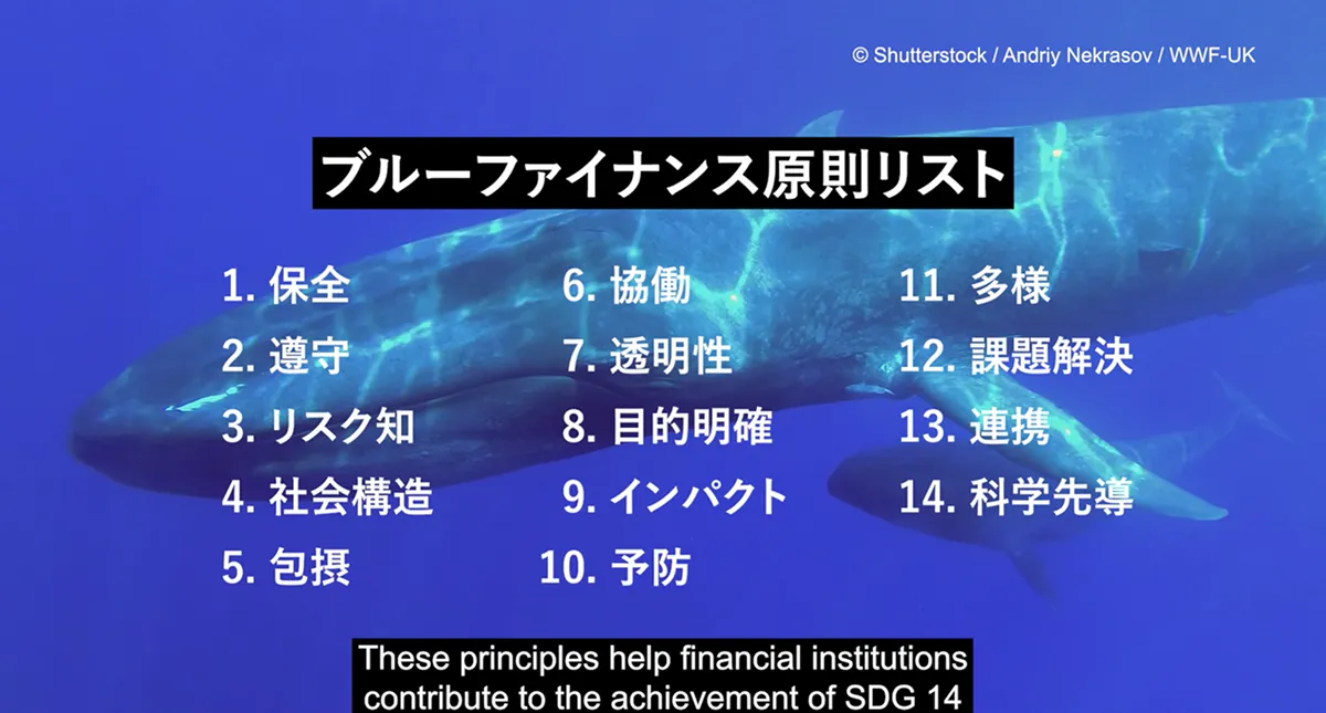 UNEP FIサステナブルなブルーファイナンス原則リスト