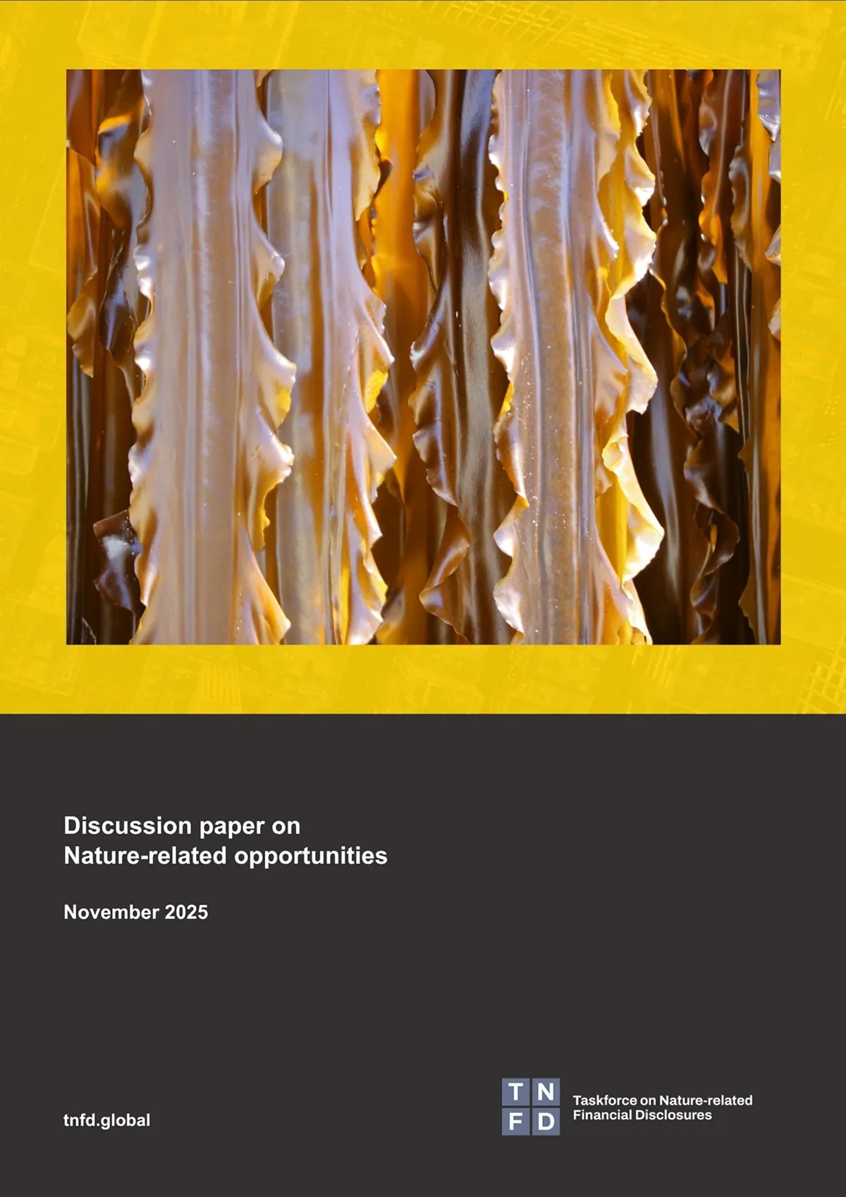 Discussion paper on Nature-related opportunities