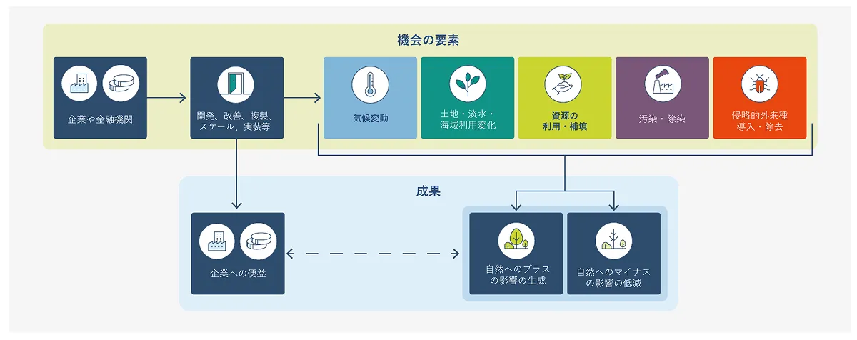 自然関連の機会の構造