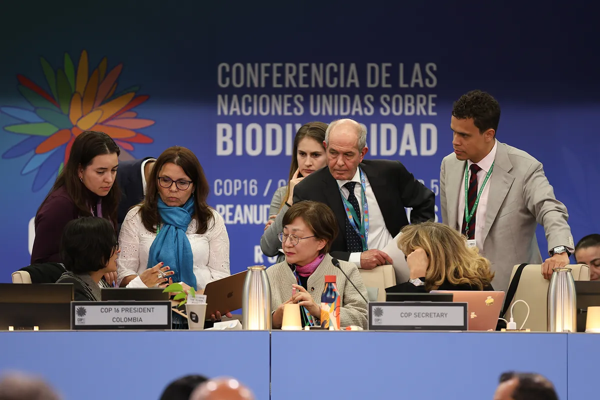 2025年2月にローマで再開された生物多様性条約COP16の様子