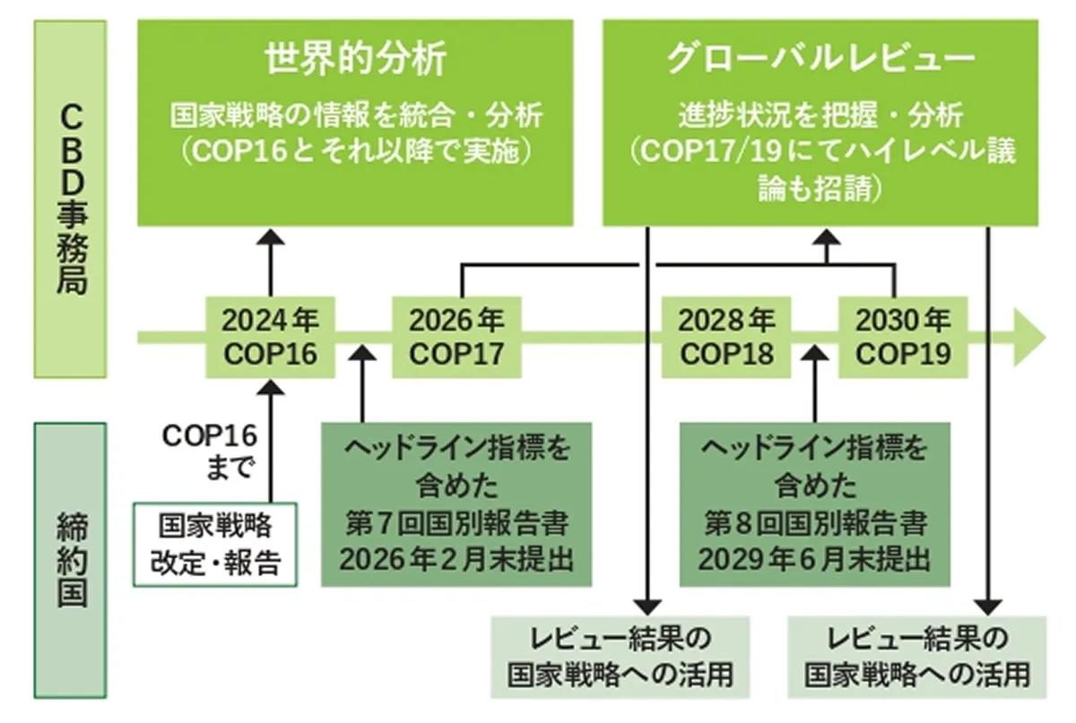 KM-GBFのレビューメカニズム(COP15決定(Decision 15/6)および COP16決定(Decision16/32)をもとにWWFジャパン作成)