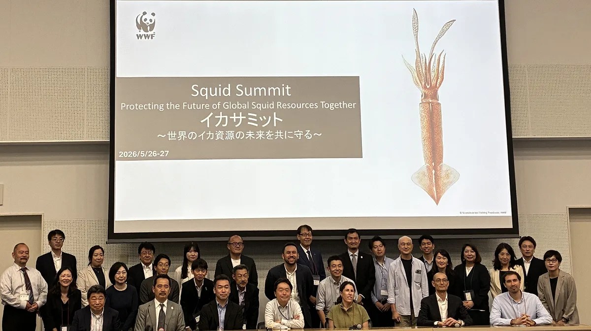 『イカサミット～世界のイカ資源の未来を共に守る～』。2026年5月26～27日、国連大学エリザベス・ローズ国際会議場にて