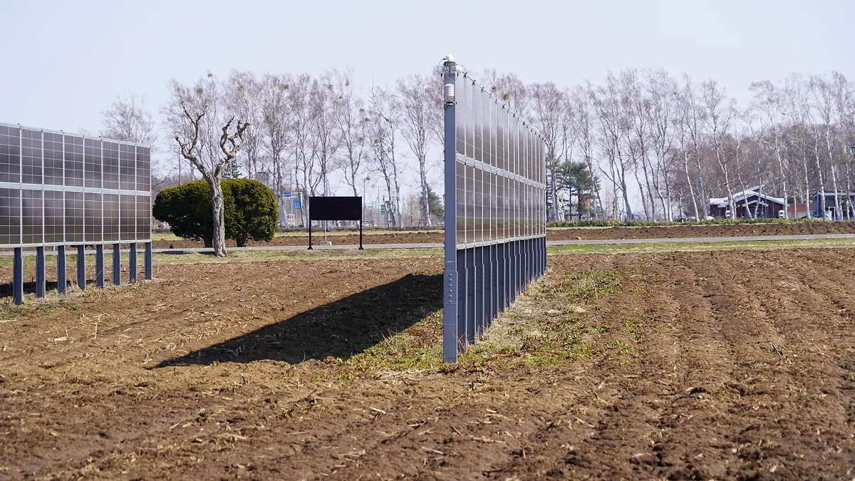 垂直型の太陽光パネルは両面で発電できるようになっている。実証は、パネルのある畑と隣り合ったパネルのない畑でチモシーの生育状況を比較。初年度の結果としてむしろパネルのある方が収量が上がったという