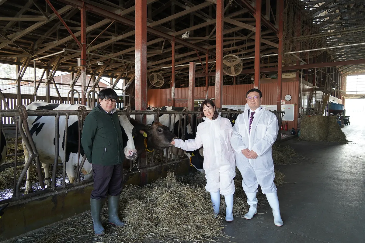 酪農学園大学は、酪農・肉畜・作物に関する3つの農業生産ステーションを備えており、 学生たちはキャンパス内にある牛舎で、実際に搾乳、肥育、栽培などを経験し、各分野の強い実践力も育める環境が整っています。 清潔な牛舎で草を食む牛たちも見学させていただきました!
