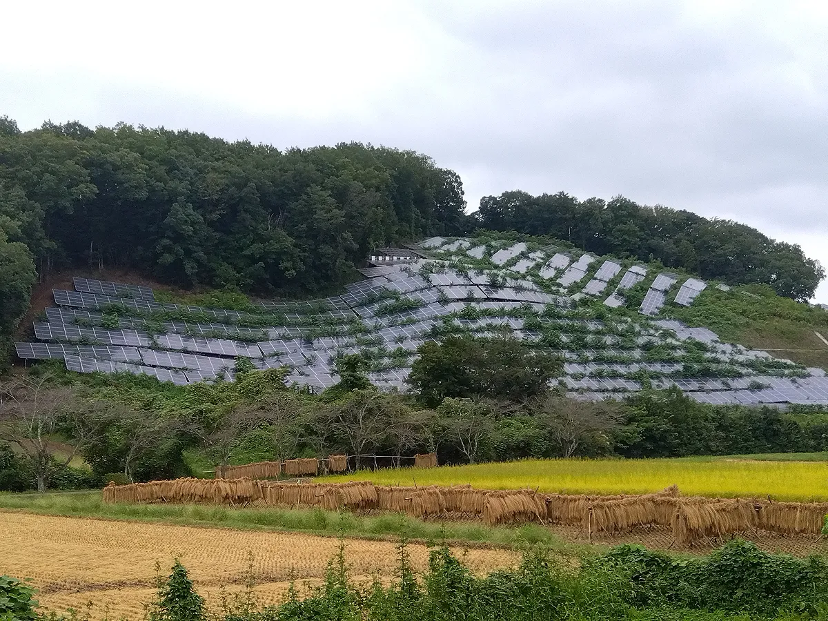 山林を侵食する太陽光開発などが一部で問題に