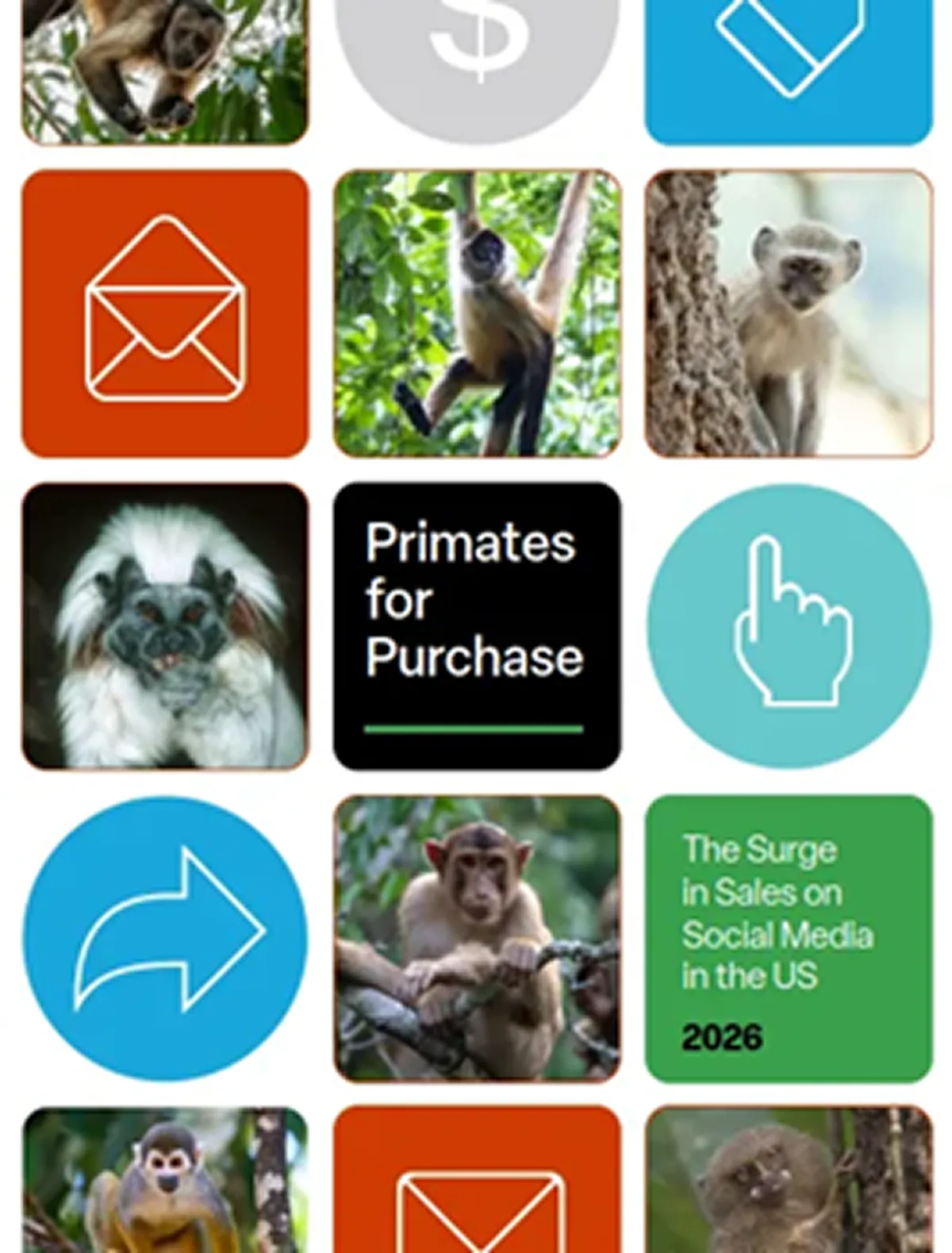 報告書 Primates for Purchase: The Surge in Sales on Social Media in the US