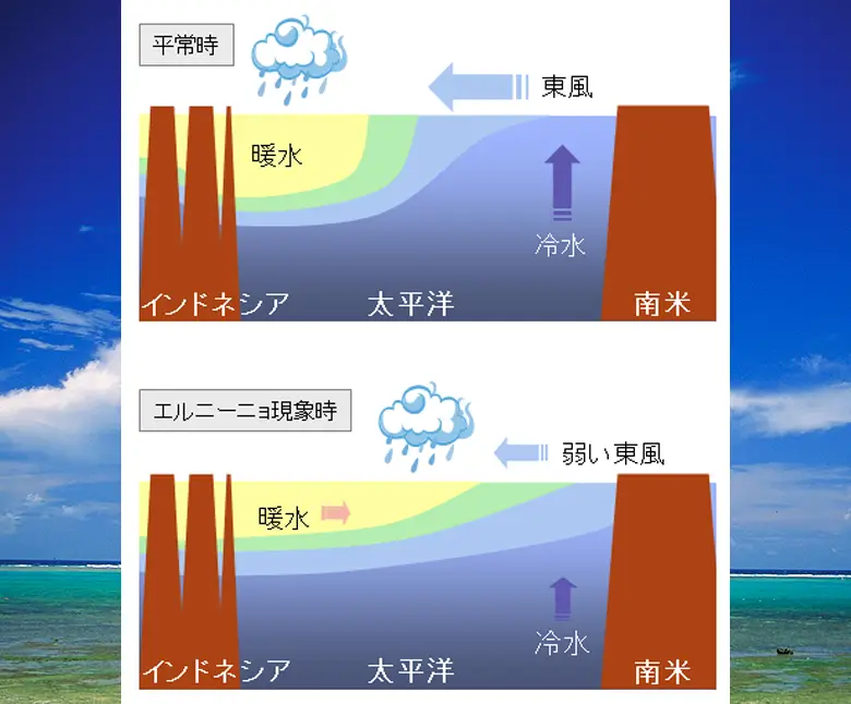 エルニーニョ現象に伴う太平洋熱帯域の大気と海洋の変動(出典)気象庁