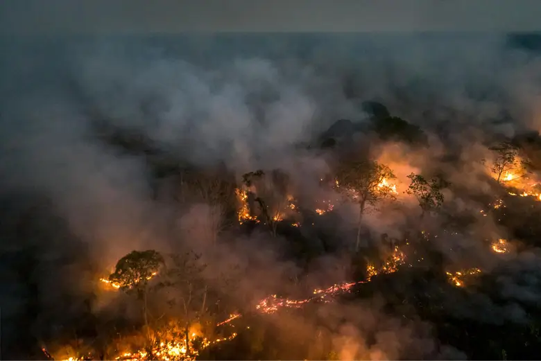 アマゾンの森林火災。地球の肺ともいわれる世界最大の熱帯林も近年は異常気象による干ばつや、それに伴う火災の多発、降雨や流域の水量の激減など、深刻な環境の変化に曝されています。