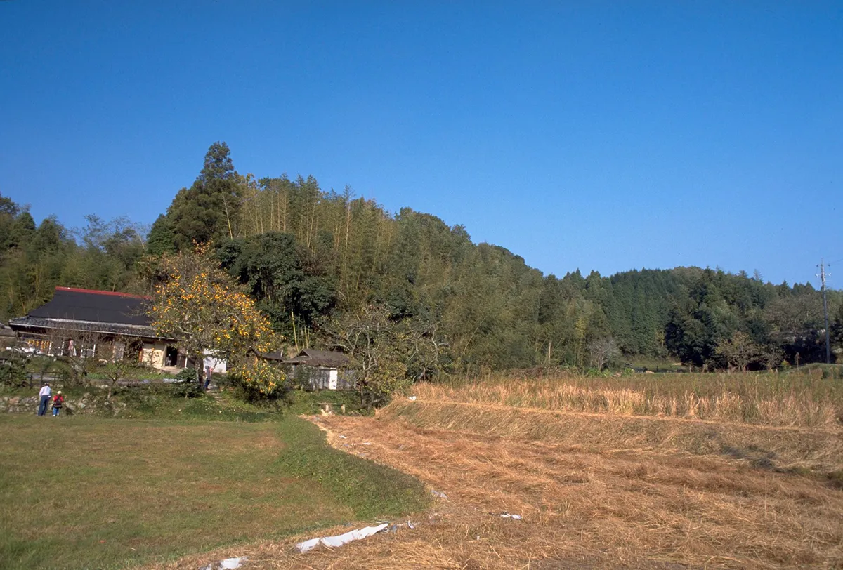 地球温暖化は日本の自然や生物多様性にも影響を与え始めています。