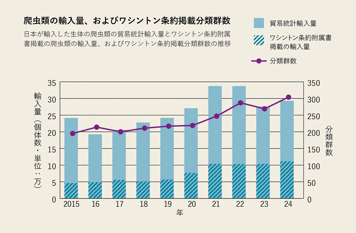 日本が輸入した生きた爬虫類の貿易統計上の輸入量(水色)と、ワシントン条約のもとで輸入した輸入量(斜線水色)の比較(線グラフは、輸入したワシントン条約対象種の分類群数)。ワシントン条約の対象種として取引管理が可能なのは、いずれの年も全体の輸入量の40%にもなりませんでした。