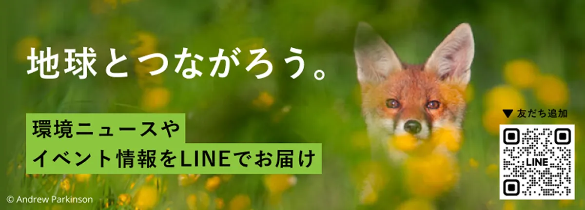 LINE2026