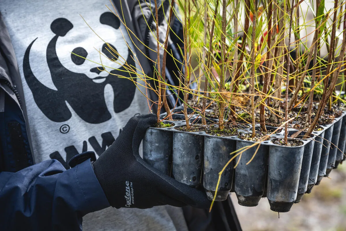 自然を保全・回復していくことは生物多様性の保全や気候変動対策の観点から非常に重要です。しかし現在の世界全体の植林によるCO2の除去量は、年間約2.2ギガトンCO2で、単純計算で平均気温を0.1度下げるには100年かかることになります。現在の気温上昇は10年で0.25度上がっていると考えると、全く追いつきません。何よりも排出削減を優先しなければいけないのです。