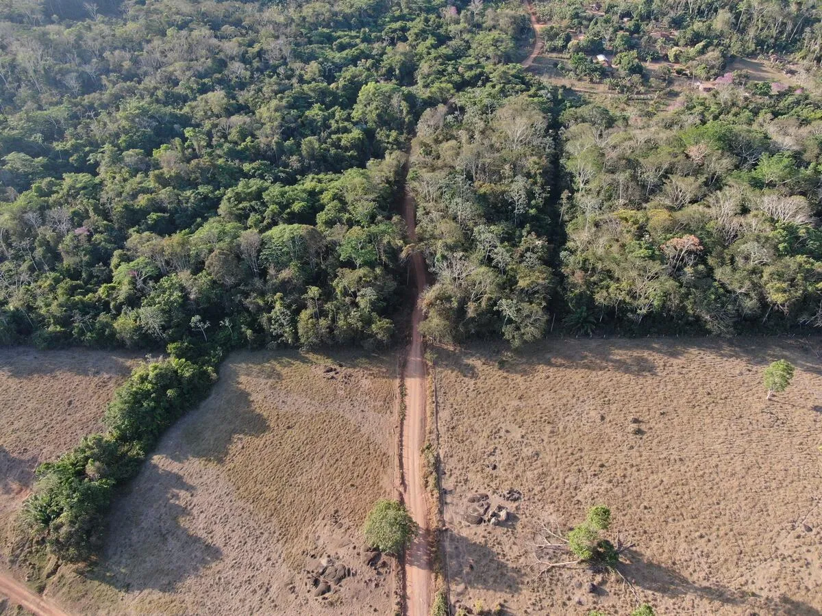 アマゾン南西部で、牛の牧草地拡大のために行なわれた森林伐採。