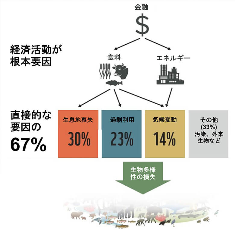 IPBES地球規模評価:Chapter 2.2 Section 2.2.6.2より