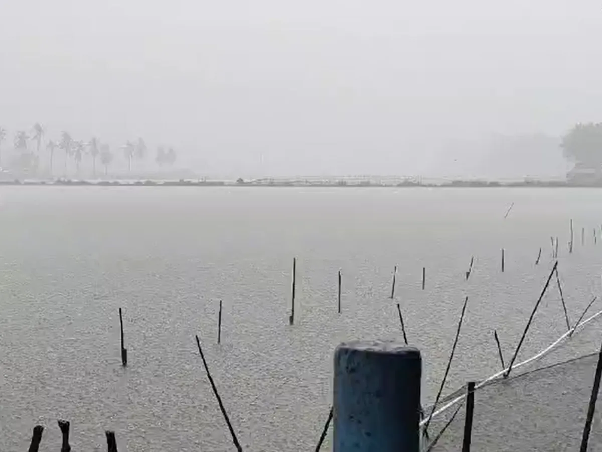 大雨により冠水したエビ養殖池