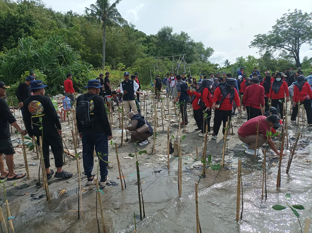 南スラウェシ州でのマングローブ再生活動。地元政府、生産者、地域住民、学生など、幅広い関係者の参加が得られています。