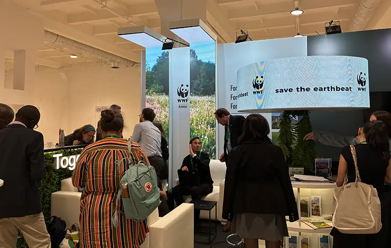 会場にあるWWFアルメニアのブース。毎日、夕方に行なわれるポリシー・ハドル(政策担当ミーティング)に関係スタッフが集まる。