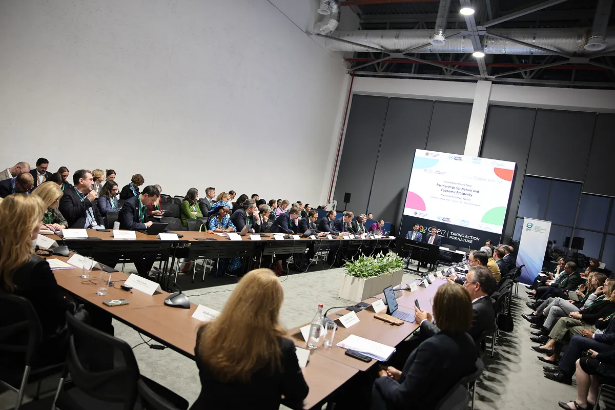 ハイレベル会合が予定されているCBD-COP17第2週の初日には、財務大臣のラウンドテーブルも実施された。