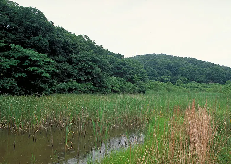 民有地の里山や里地にも豊かな自然がのこされています。こうしたエリアを、面積、質ともにどう保全するかが、今後の生物多様性保全のカギになります。