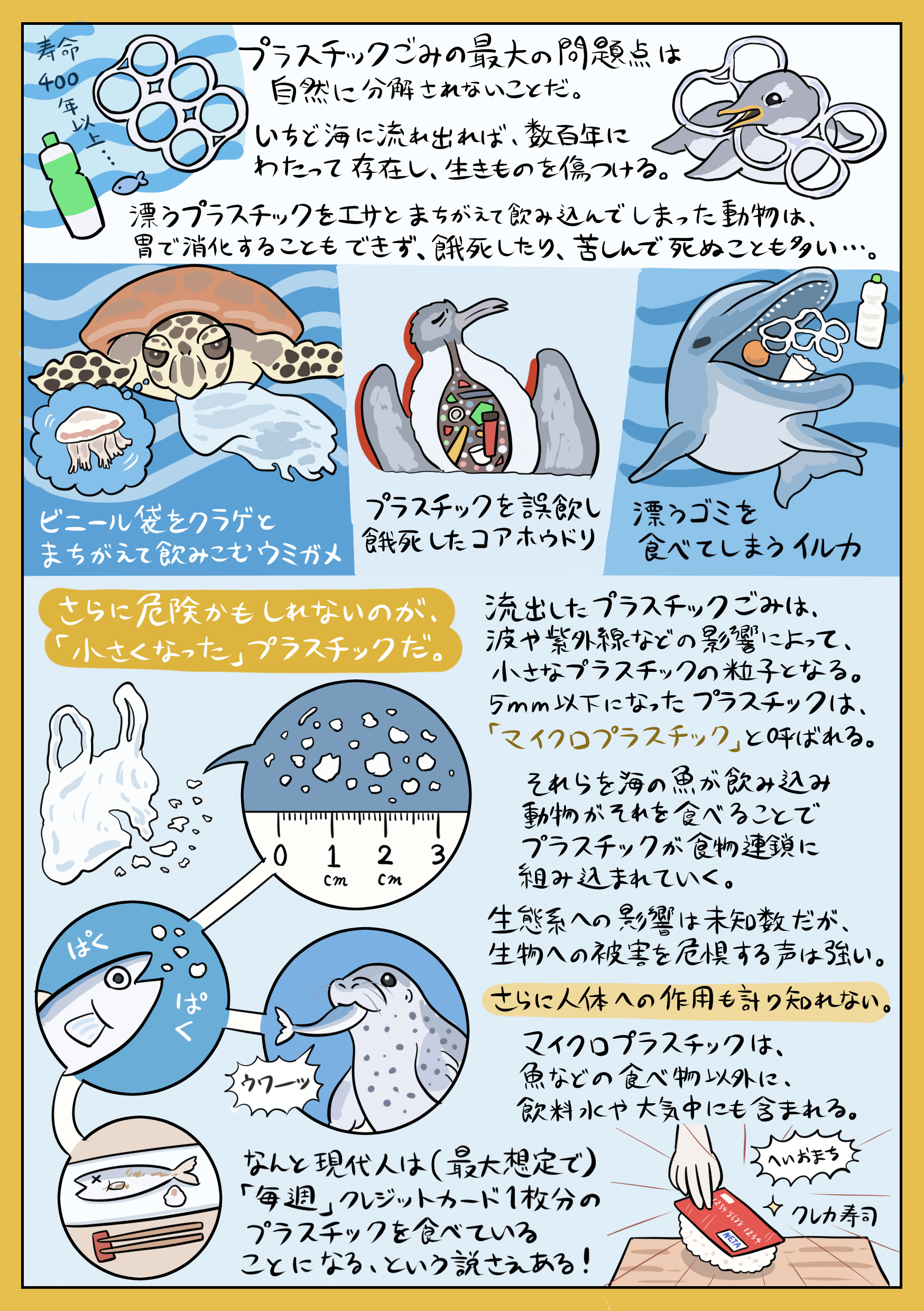 Wwfジャパン ぬまがさワタリ 図解でわかるプラスチックごみ問題 注目の活動特集 Wwfジャパン